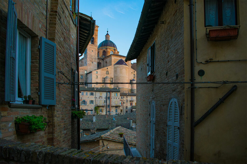 urbino3